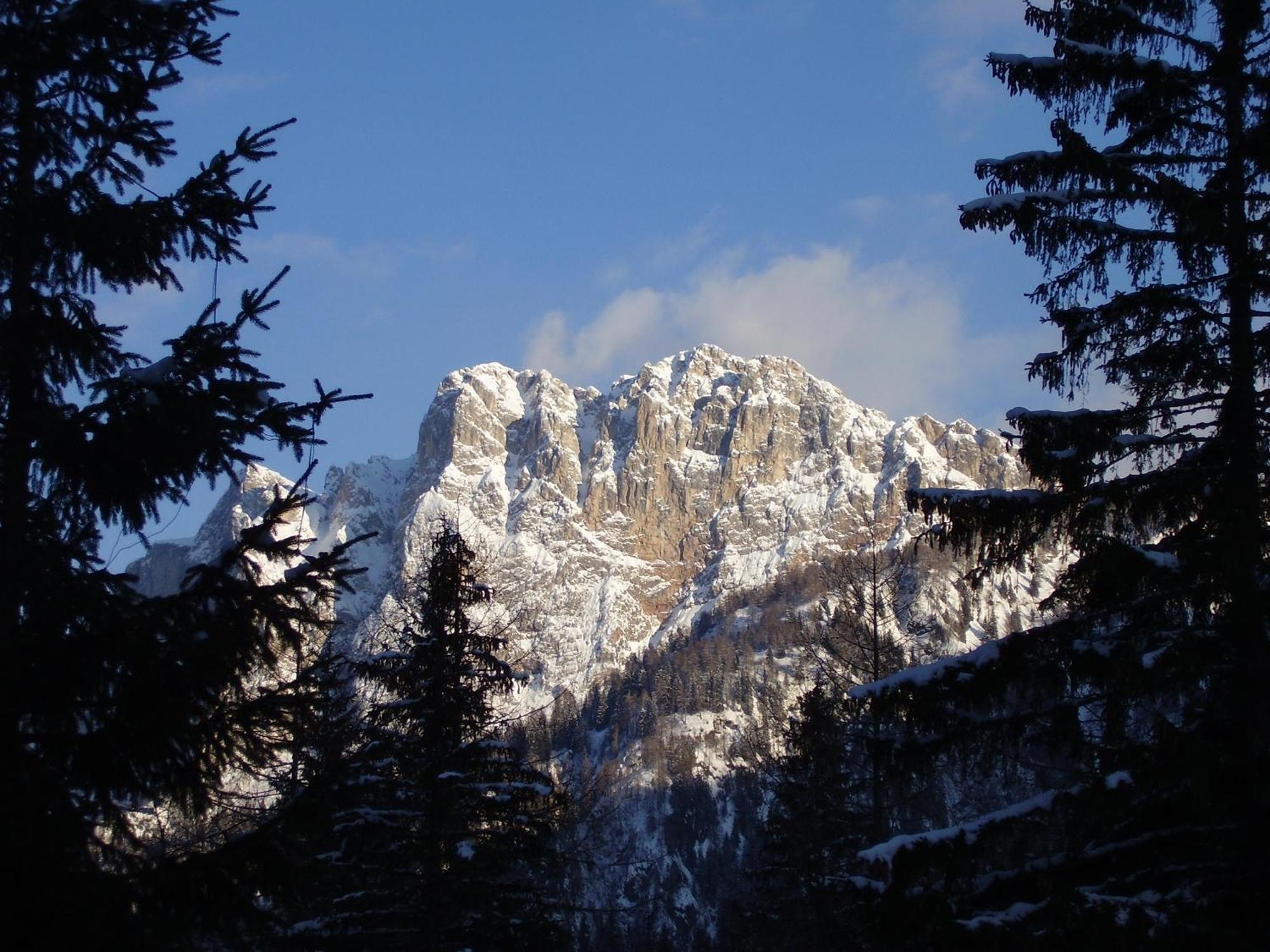 Residence Regina Delle Dolomiti Rocca Pietore Dış mekan fotoğraf